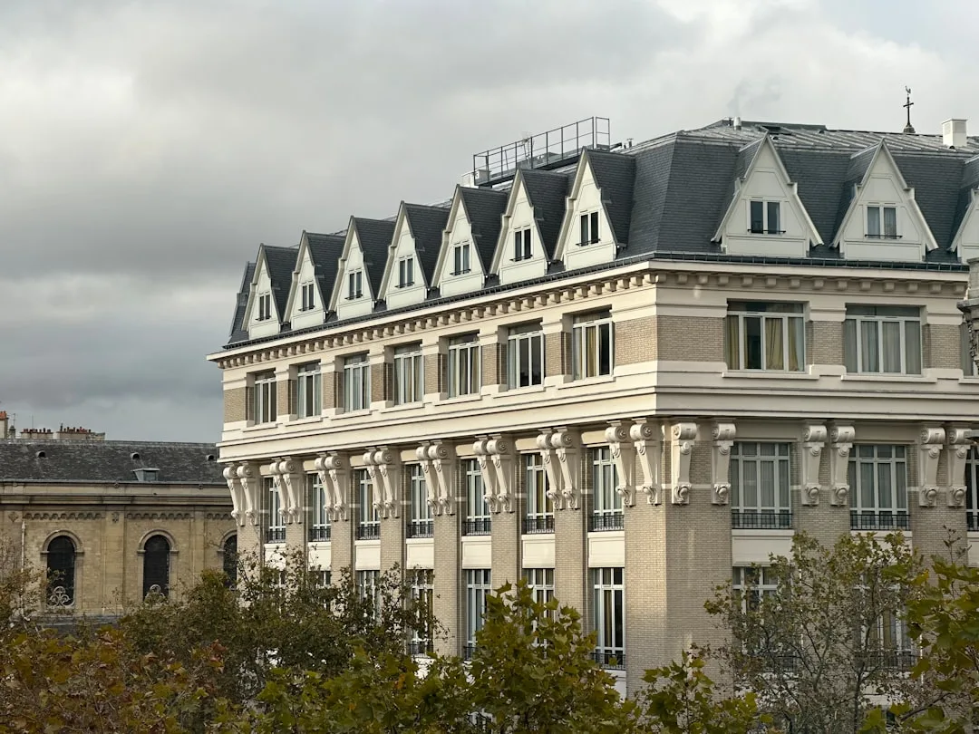 L'Elegance du herisson de Muriel Barbery : subtil comme un the vert, mais une fin decevante