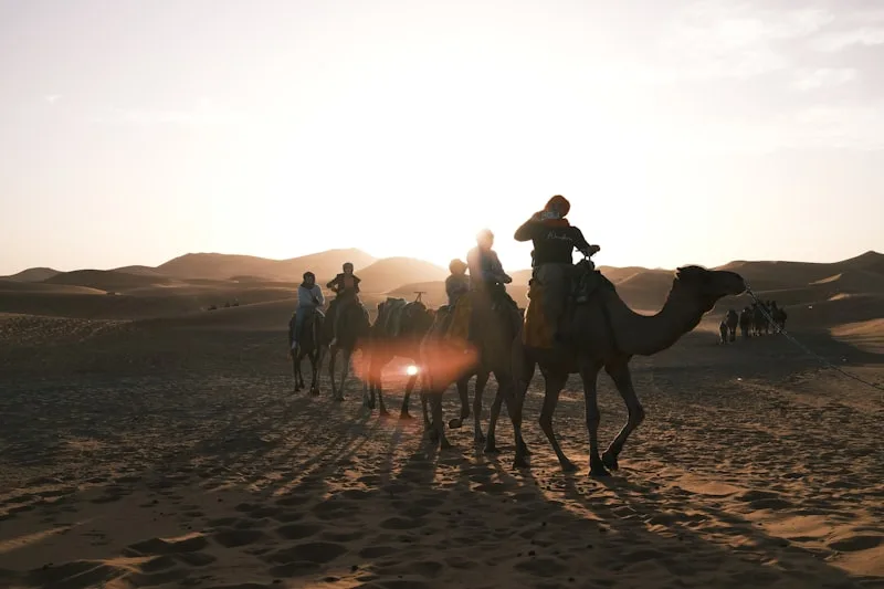 Valse avec Bachir d'Ari Folman : le documentaire anime qui a revolutionne le cinema